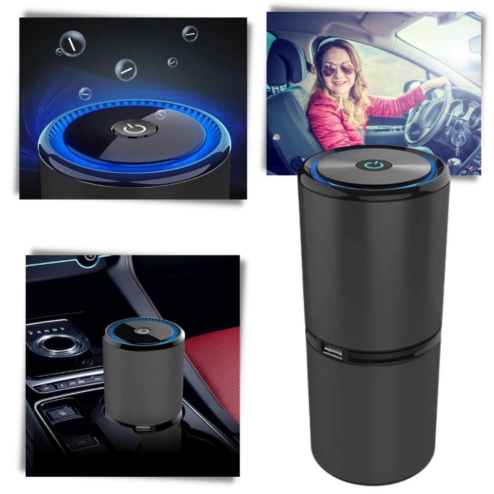 Ionic Air Purifier