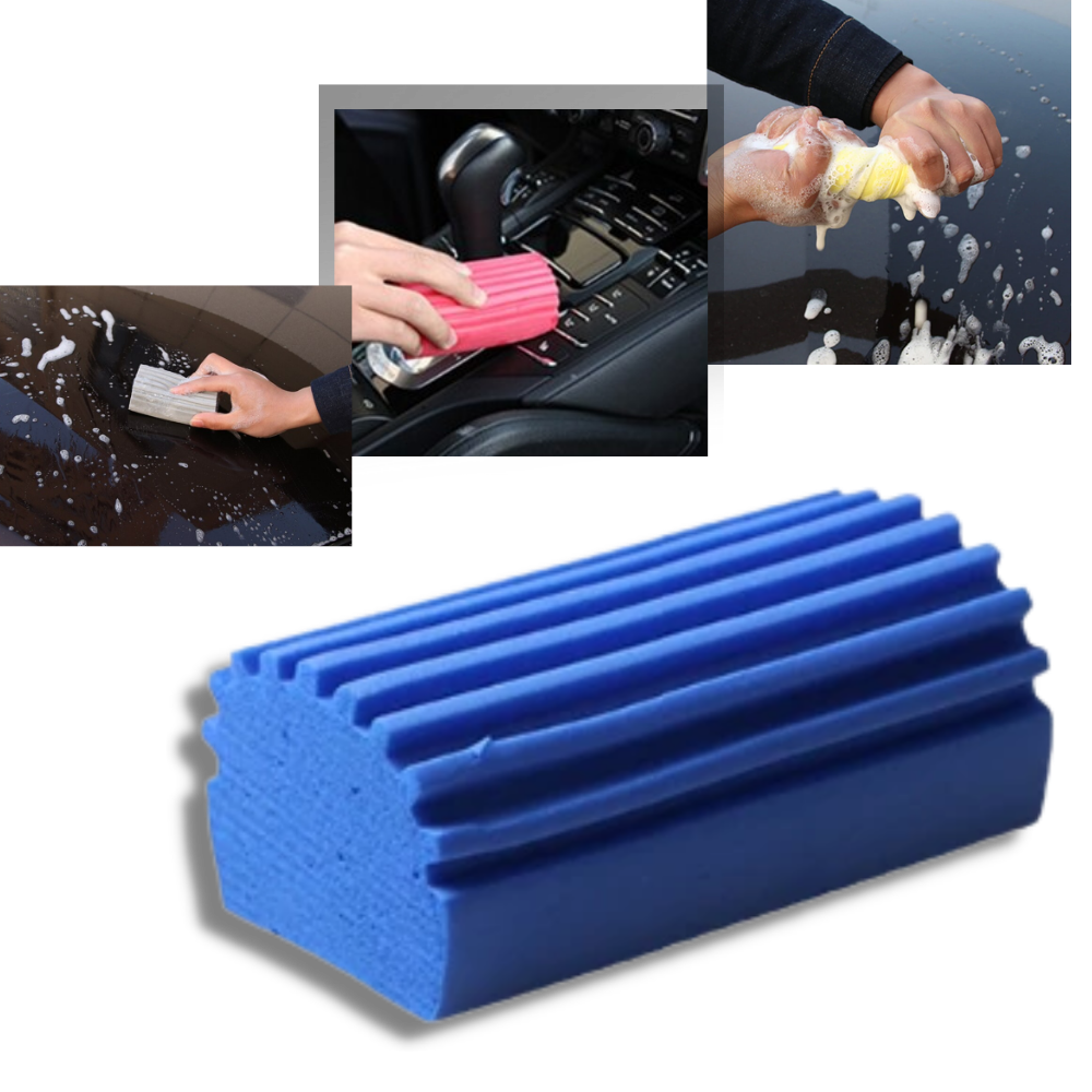 Multi-Functional Absorbent Sponge