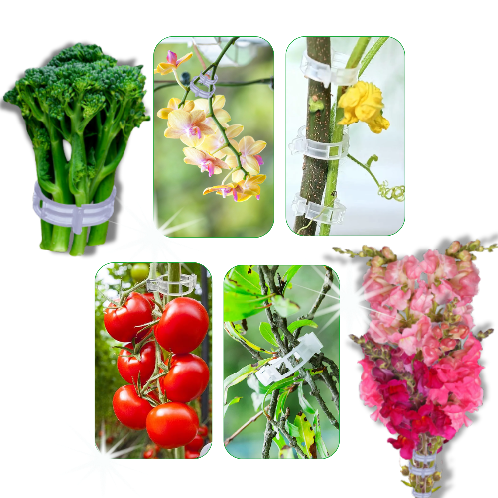 Easy Clip-On Plant Support