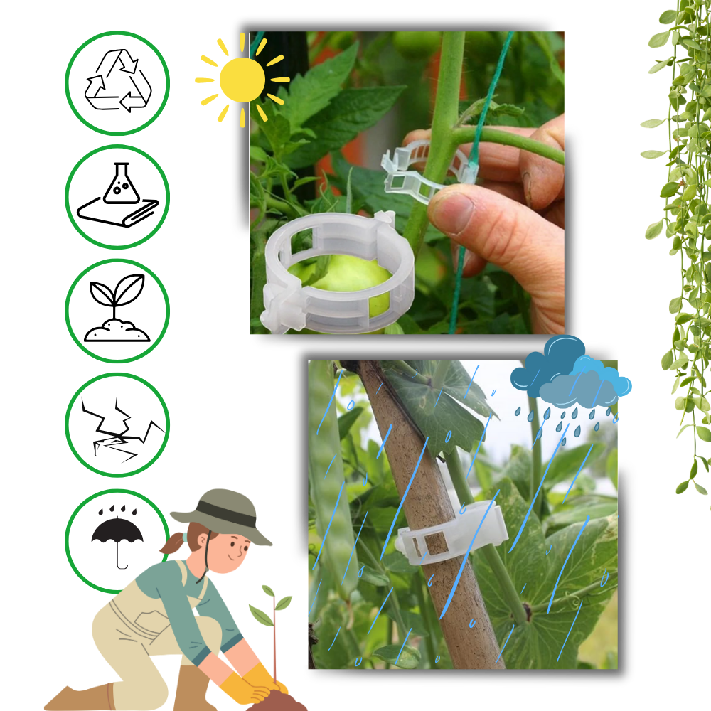 Easy Clip-On Plant Support