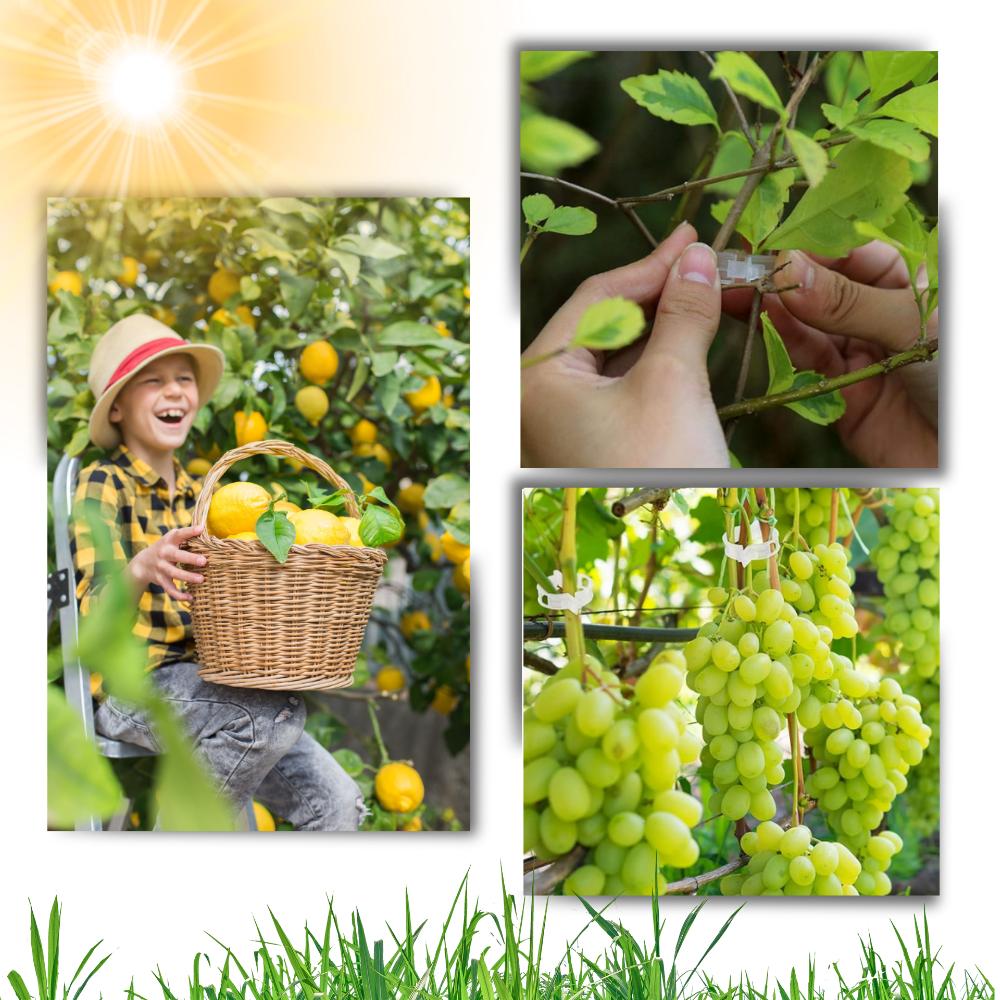 Easy Clip-On Plant Support