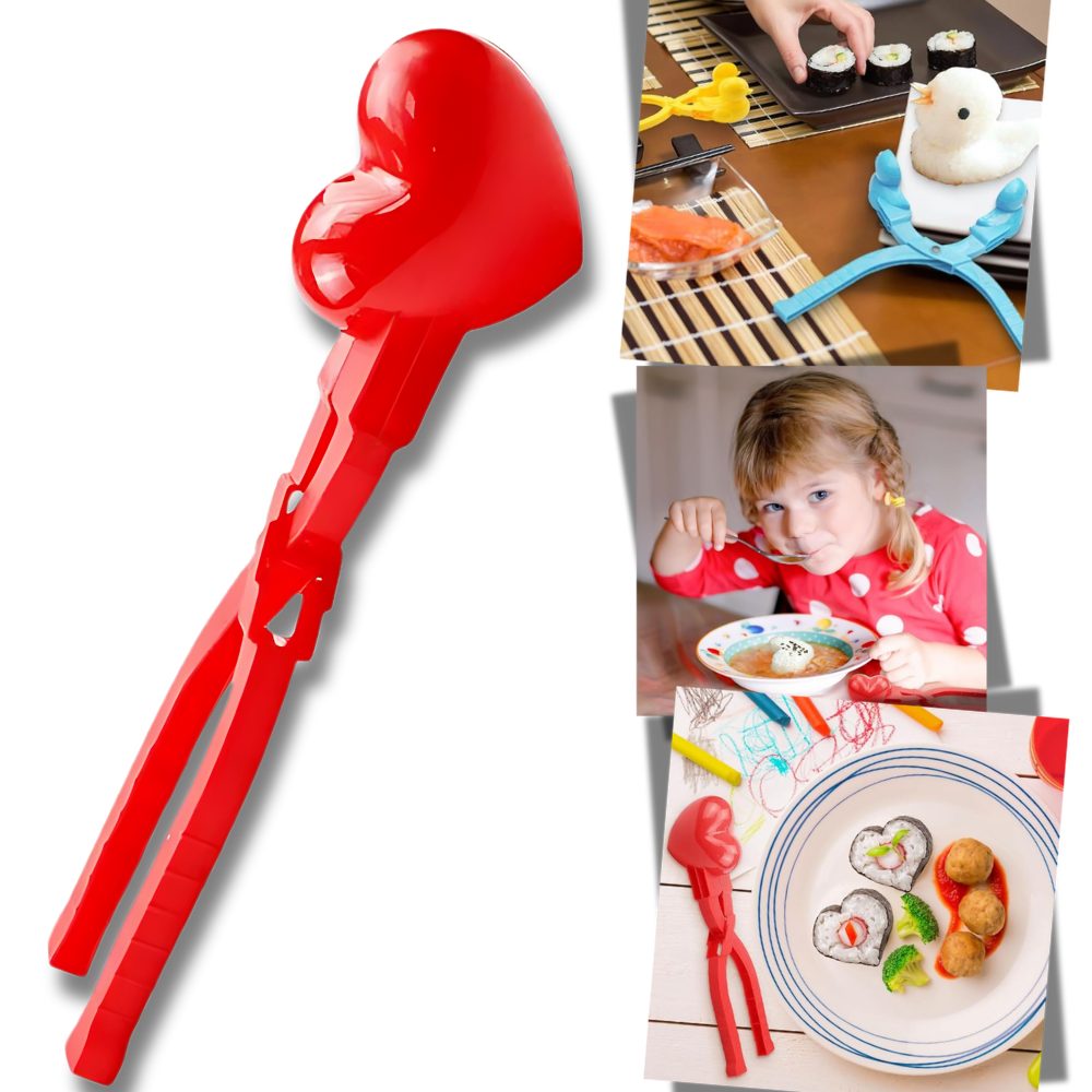 Fun Designs Sushi Rice Mold