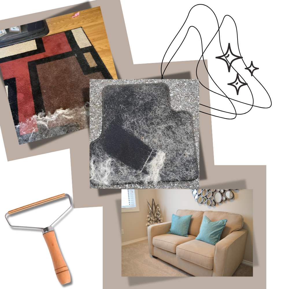 Fur-Free Cleaning Pro