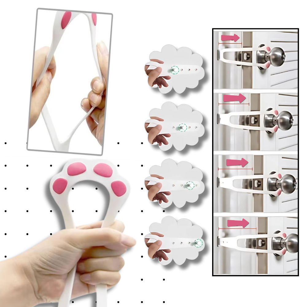 Innovative Door Latch For Cats