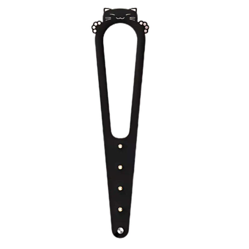 Innovative Door Latch For Cats