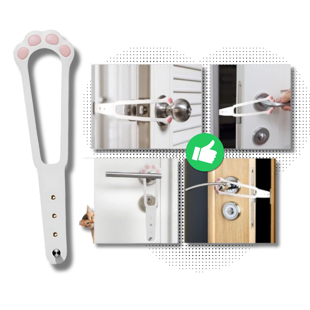 Innovative Door Latch For Cats