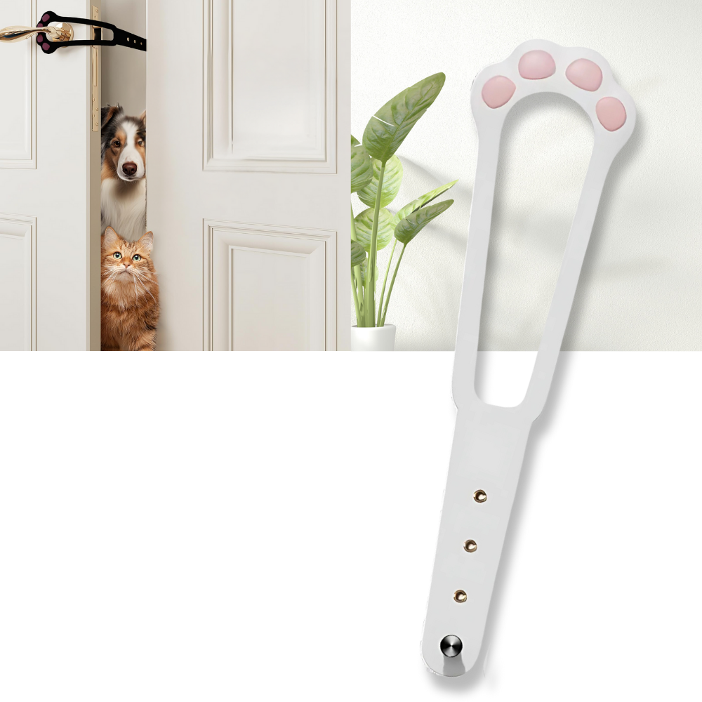 Innovative Door Latch For Cats