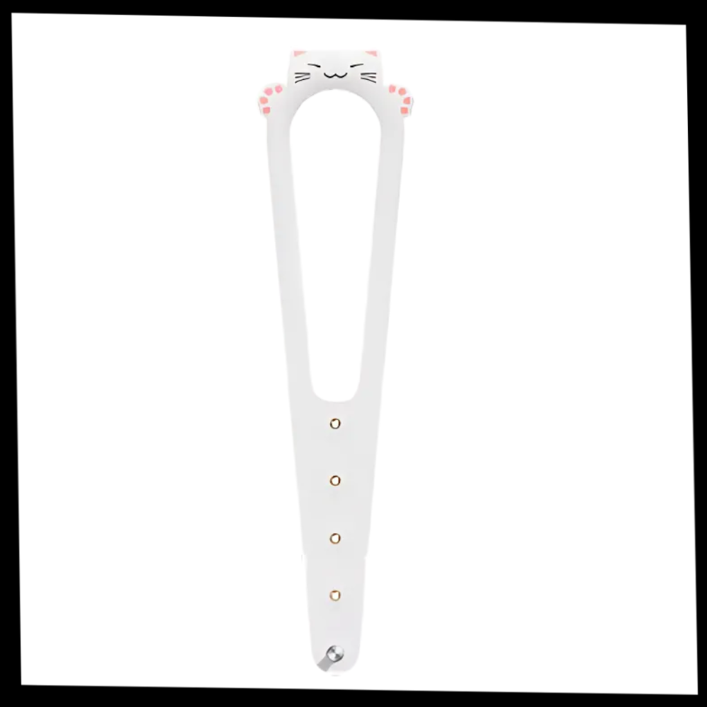 Innovative Door Latch For Cats