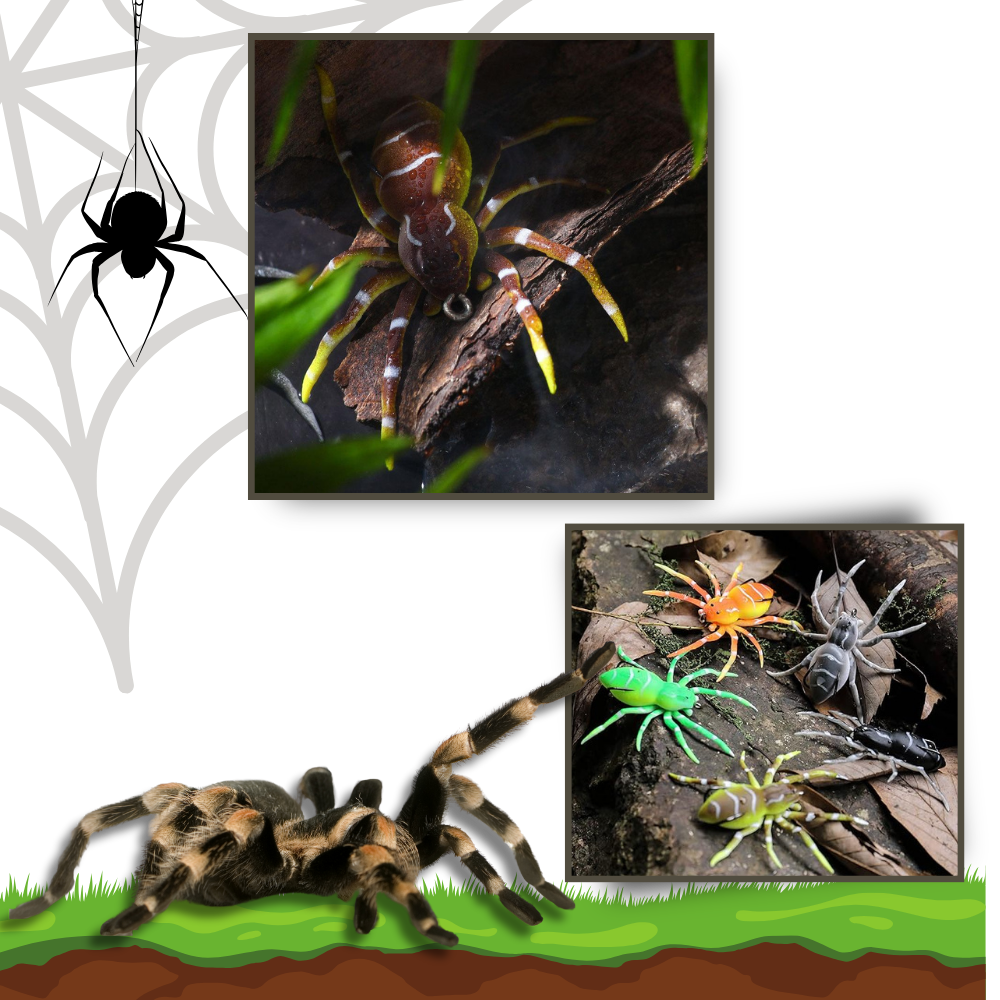 Natural Movement Spider Lures
