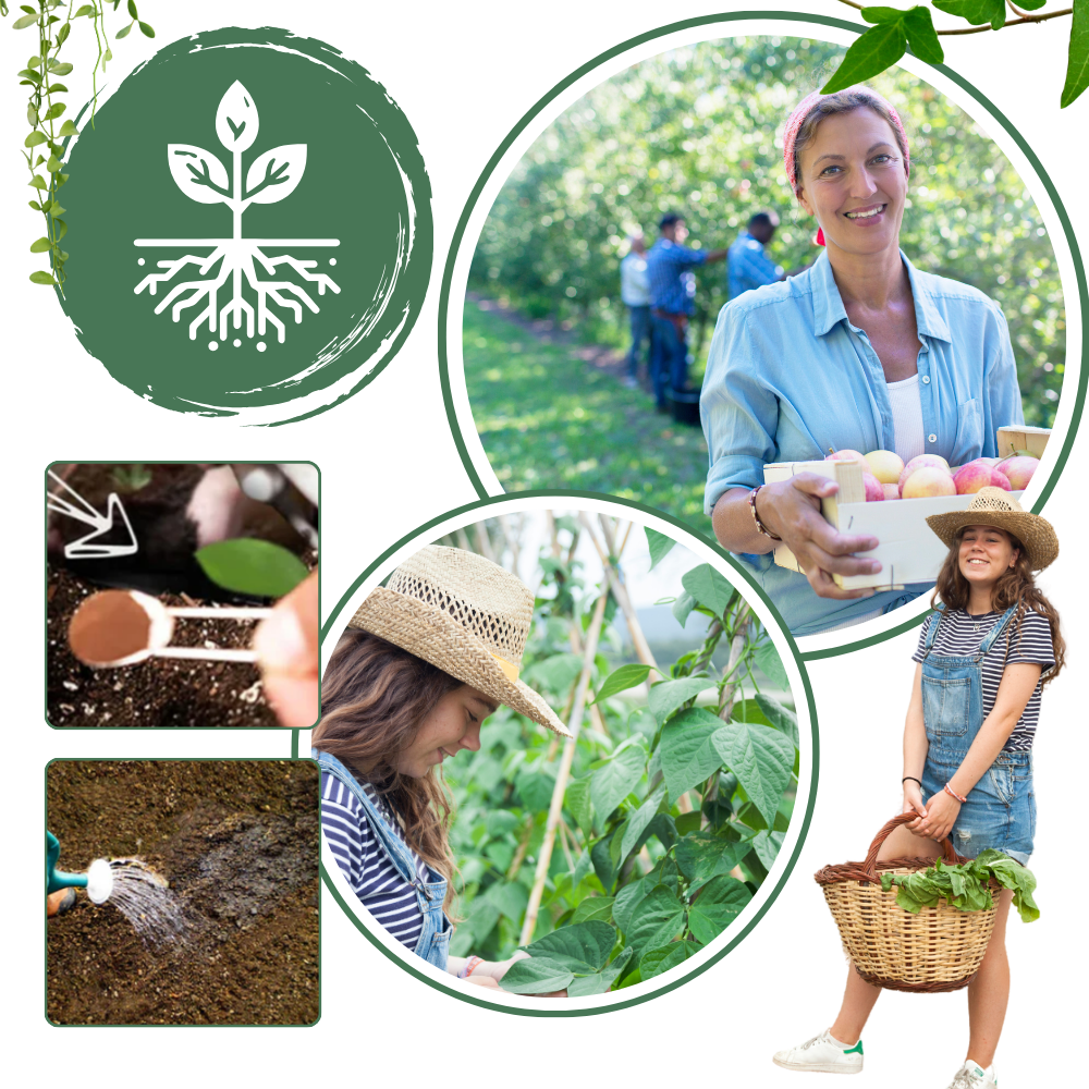 Organic Nutrients Soil Activator