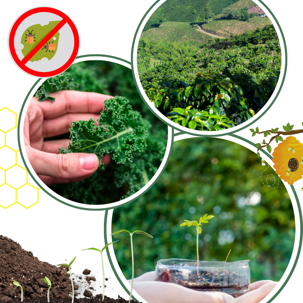 Organic Nutrients Soil Activator