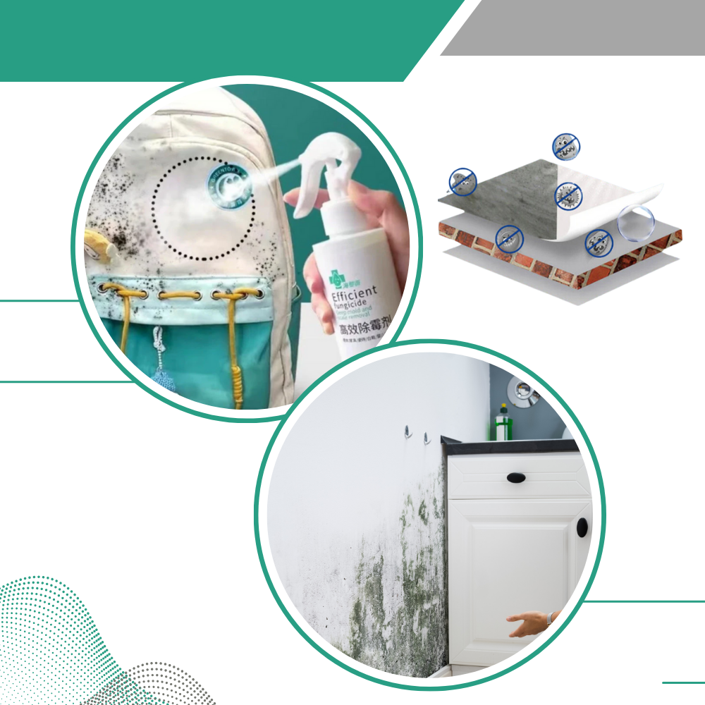 Powerful Mold Remover Spray