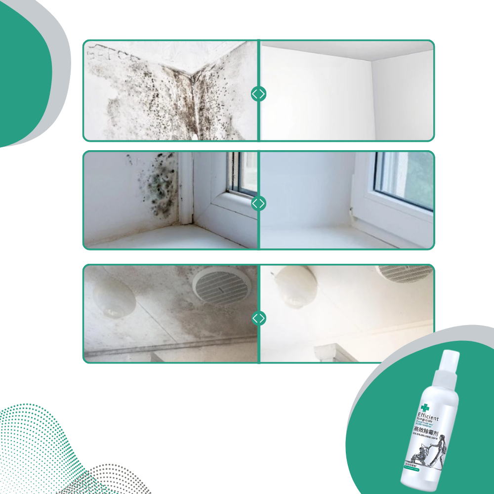 Powerful Mold Remover Spray