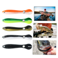 Realistic Fishing Baits