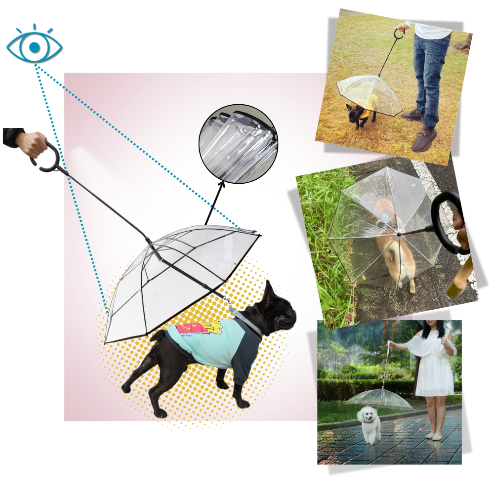 Transparent Dog Umbrella Leash