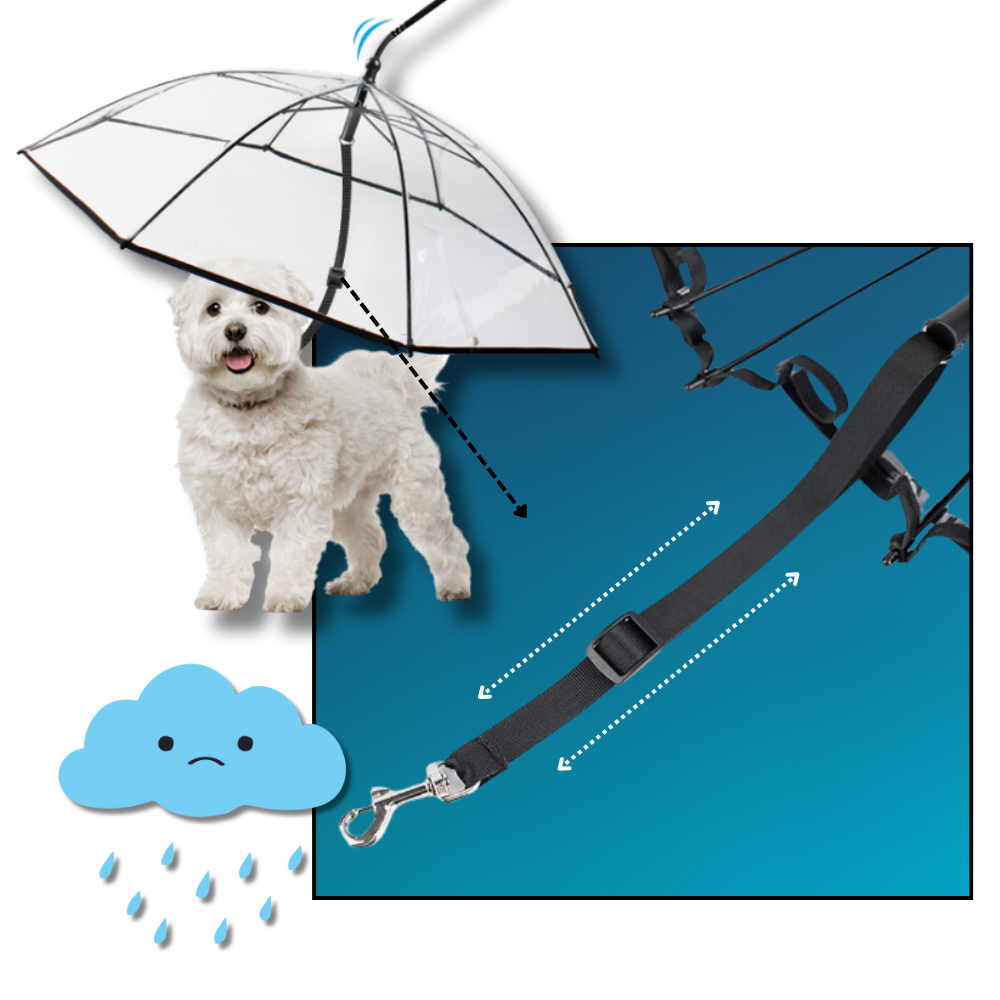 Transparent Dog Umbrella Leash